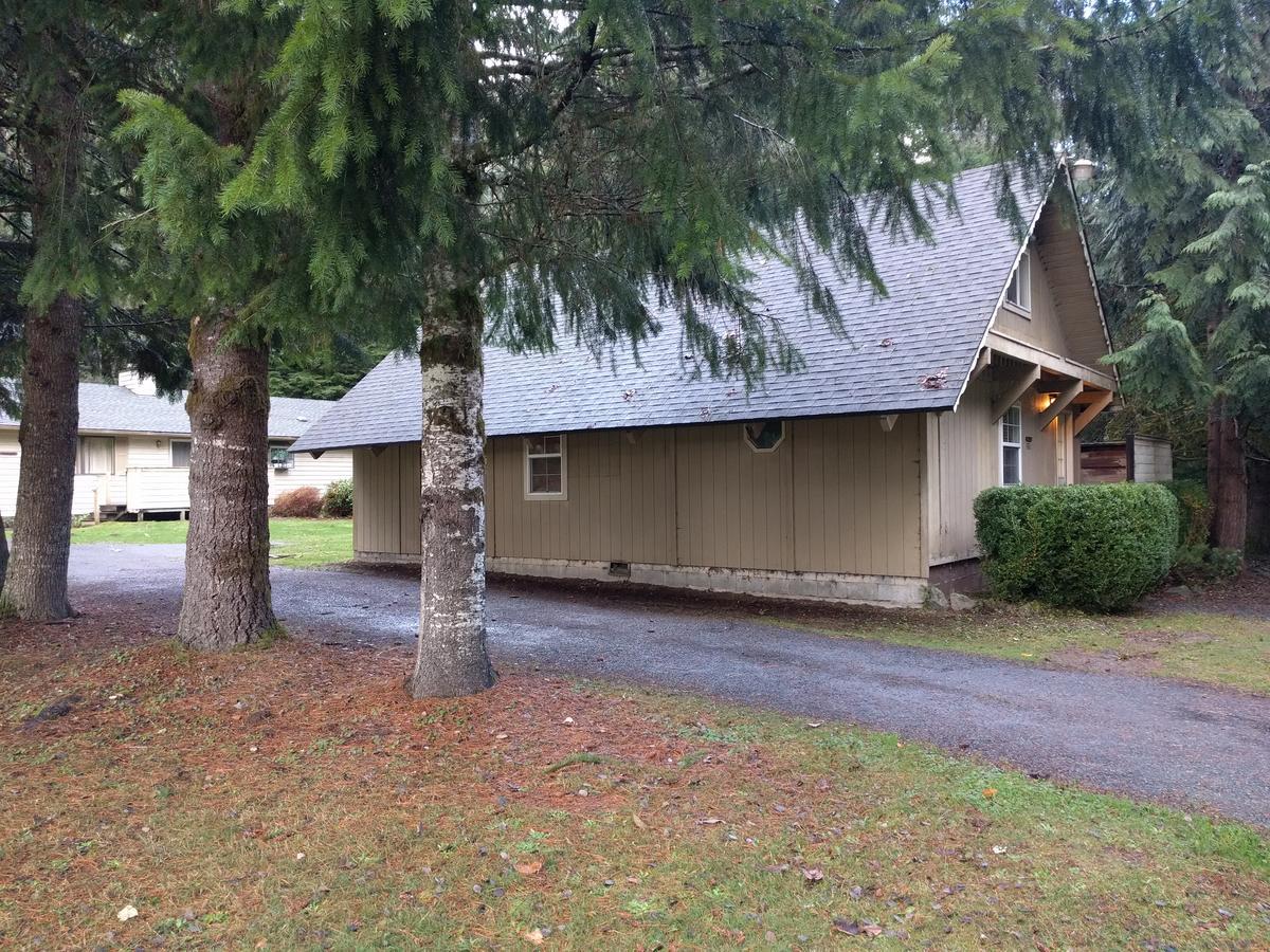 Villa Chalet at Mt. Rainier à Ashford Extérieur photo