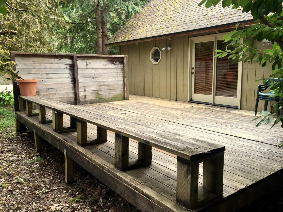 Villa Chalet at Mt. Rainier à Ashford Extérieur photo